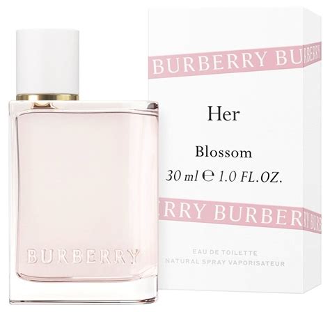 duftbeschreibung burberry her|Burberry Her Blossom Burberry perfum.